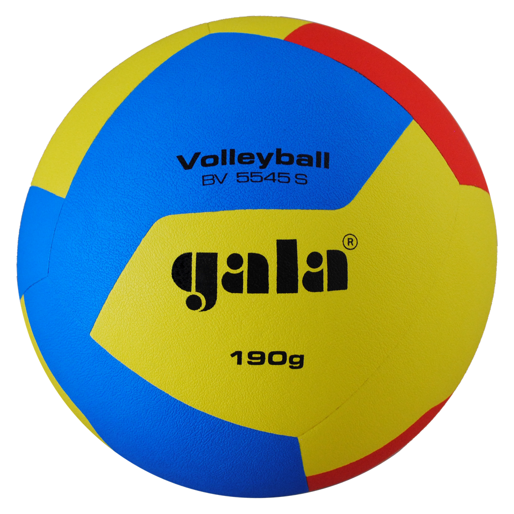 GALA volleyball BV5545S TRAINING 190 g - 12