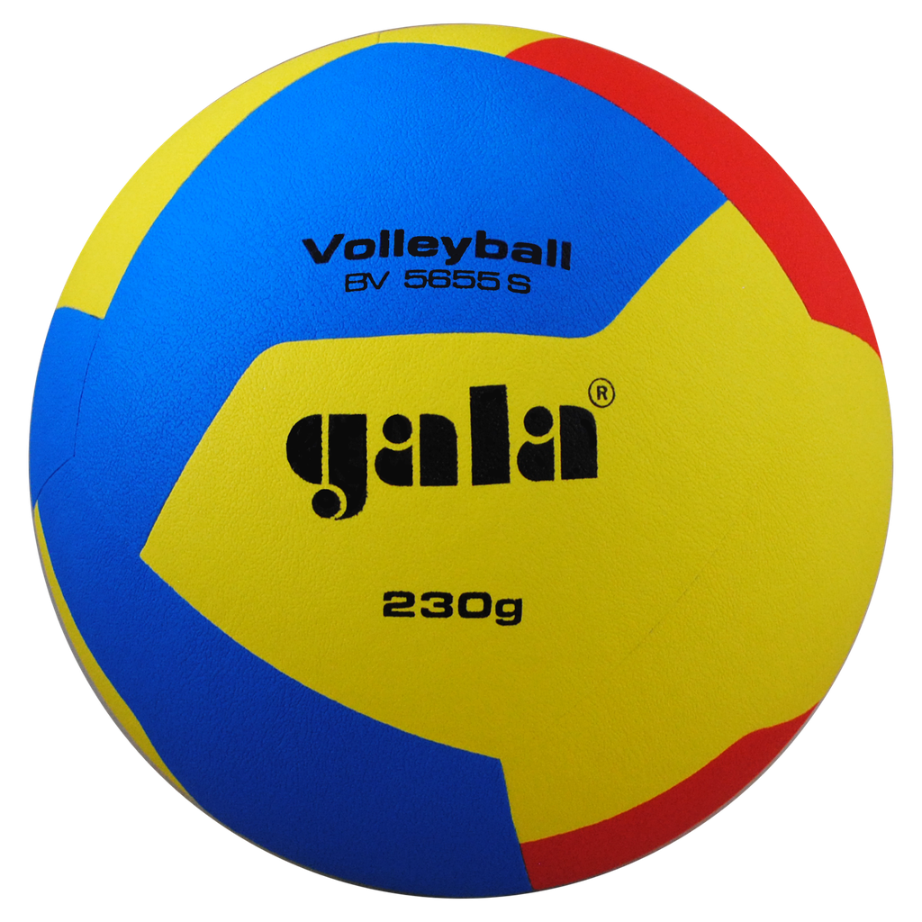 GALA volleyball BV5655S TRAINING 230 g - 12