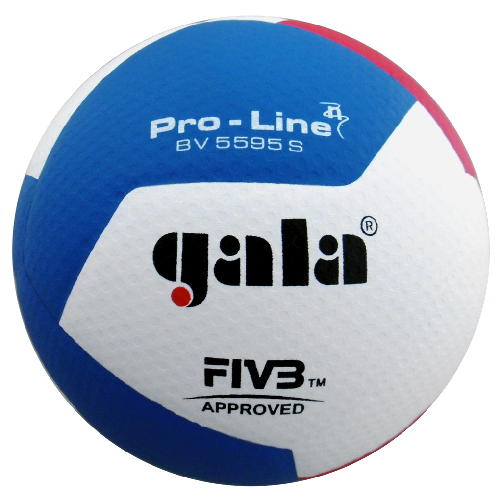 Волейболна топка Gala BV5595S PRO-LINE - 12