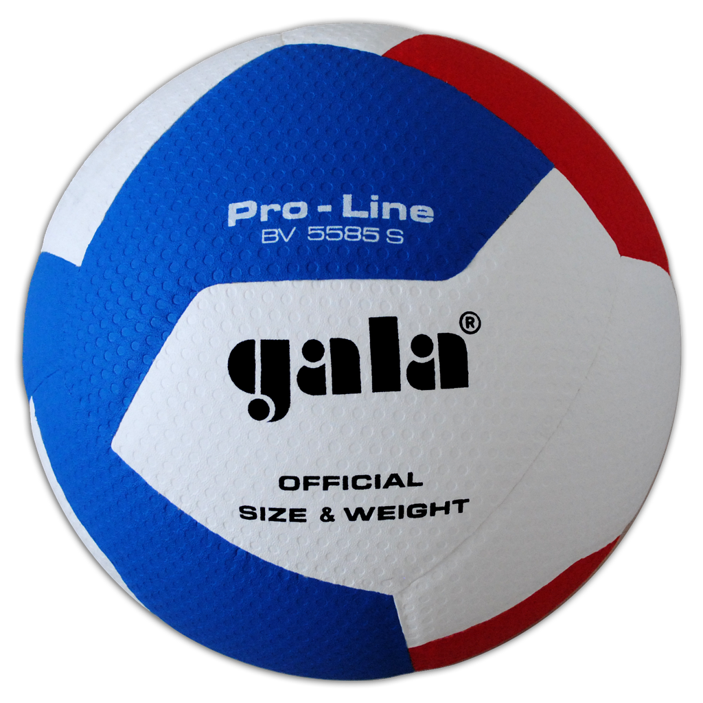 GALA volleyball  BV5585S PRO-LINE - 12 REPLICA