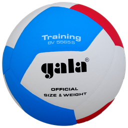 [PR/00020] Волейболна топка Gala BV5565S TRAINING - 12