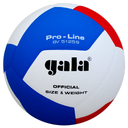 [PR/00015] Волейболна топка Gala BV5125S PRO-LINE